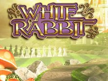 White Rabbit